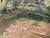 Carl Pappe Plein Air Landscape Impressionist Oil on Panel Original Frame For Sale - Image 4 of 9