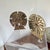 Mid 20th Century Coastal Solid Brass Sand Dollar Bookends-a Pair For Sale - Image 5 of 5