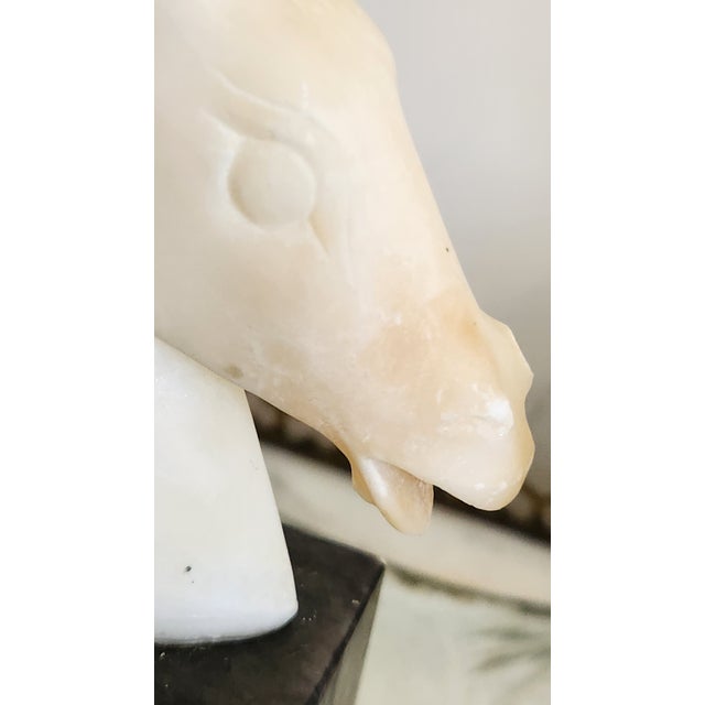 Vintage Carved Marble Horse Head Bookends, Pair For Sale - Image 13 of 18