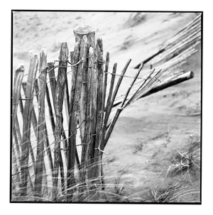 Paul Cooklin, Fence I, Silver Gelatin Photograph, Limited Edition of 10