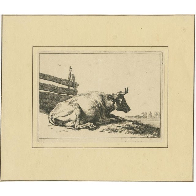 Ivory After Paulus Potter, Cattle, 1650, Set of 8 For Sale - Image 8 of 12