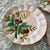 Ceramic Antique Italian Ceramic Fruit Plates - Set of 6 For Sale - Image 7 of 9