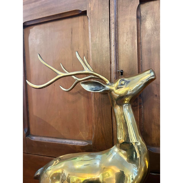 Figurative Mid 20th Century Large Polished Brass Deer Statues - A Pair For Sale - Image 3 of 11