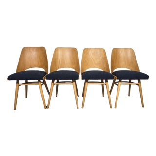 Dining Chairs by Radomir Hoffman for Ton, 1950s, Set of 4 For Sale