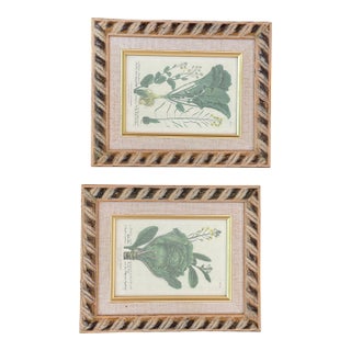 1940s Set of Small Botanical Prints in Gold Frame For Sale