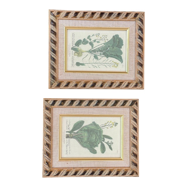 1940s Set of Small Botanical Prints in Gold Frame For Sale