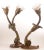 Wood Italian Giltwood Sconces, 1980s, Set of 2 For Sale - Image 7 of 10