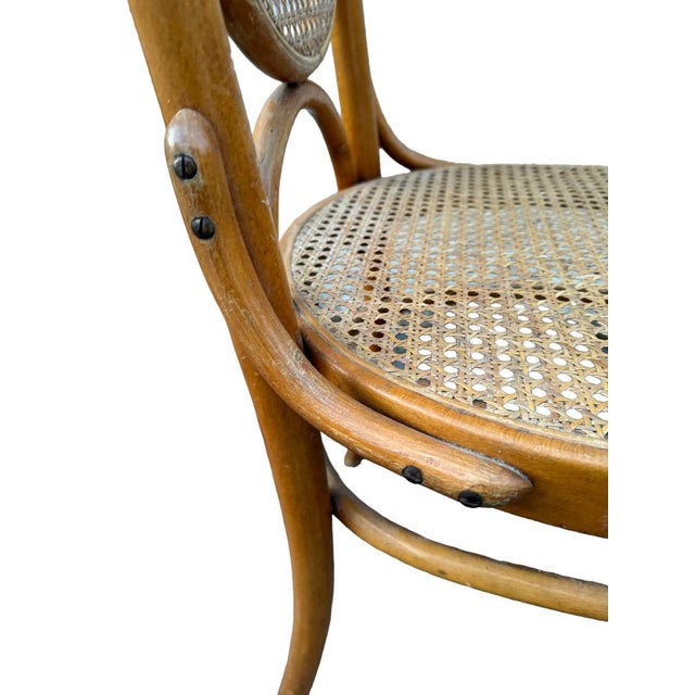 Antique Chairs from Thonet, 1900, Set of 4 For Sale - Image 11 of 14
