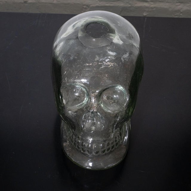 Folk Art Clear Glass Sculptural Skull Vase For Sale - Image 3 of 6