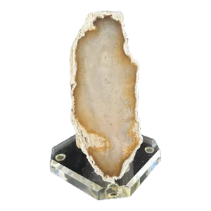 Mid 20th Century Agatized Fossilized Coral Polished Florida Fossil on Lucite Base