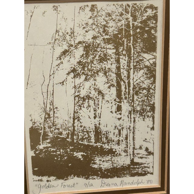 Vintage 1981 Blair Randolph Signed Limited Edition Landscape Prints - A Pair For Sale - Image 4 of 9
