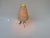 Metal Austrian Tripod Brass Table Lamp, 1950s For Sale - Image 7 of 18
