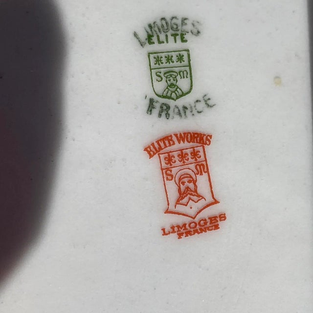 Early 20th Century Bawo Dotter Bwd76 French Limoges Porcelain Platter For Sale In Los Angeles - Image 6 of 7