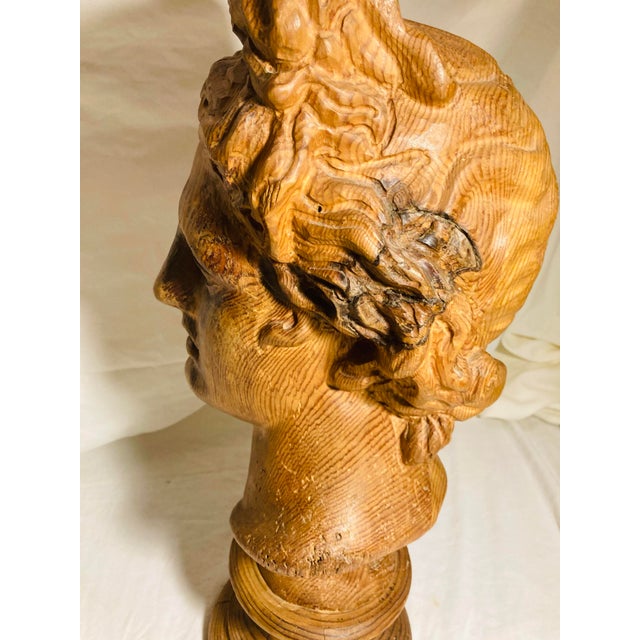Vintage Hand Carved Wood Bust of the God Apollo For Sale - Image 11 of 11