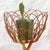 Mid-Century Modern Mid-Century Bamboo Rattan Plant Stand, France, 1960s For Sale - Image 3 of 9