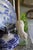 Vintage Hand-Painted English Country Grazing Sheep Sculpture on Green Plinth For Sale - Image 9 of 18