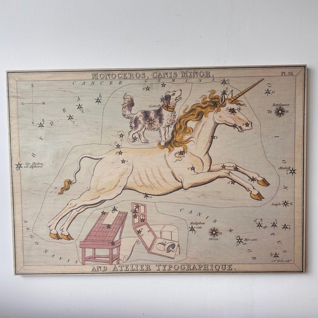 Monoceros and Canis Minor Constellation Map on Board Artwork For Sale - Image 4 of 12