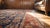 Excellent Navy Blue and Red Color With Florid and Symmetric Design Antique N W Persian Rug For Sale - Image 14 of 15