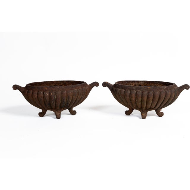 Metal Pair Cast Iron Footed Oval Planters, France, Circa 1920. For Sale - Image 7 of 8