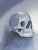 Gothic Late 20th Century Gray Blue Skull Painting For Sale - Image 3 of 6