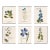Reproduction 18th Century Vintage Botanical Set With Blue Flowers For Sale