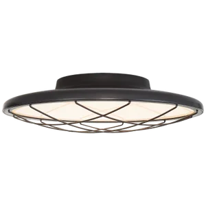Peter Bristol for Visual Comfort Signature Dot 13" Caged Flush Mount in Matte Black