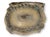 English Antique English Equestrian Tobacco Box For Sale - Image 3 of 6