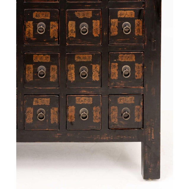 Chinese Apothecary Cabinet, 19th Century For Sale - Image 9 of 11
