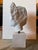 Classical Grand Tour Style Vintage Bust, a Head of a Roman Noble Woman For Sale - Image 9 of 13