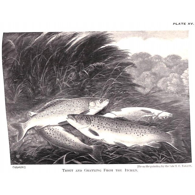 White "The Complete Science of Fly Fishing and Spinning" 1915 Shaw, Fred G. For Sale - Image 8 of 12