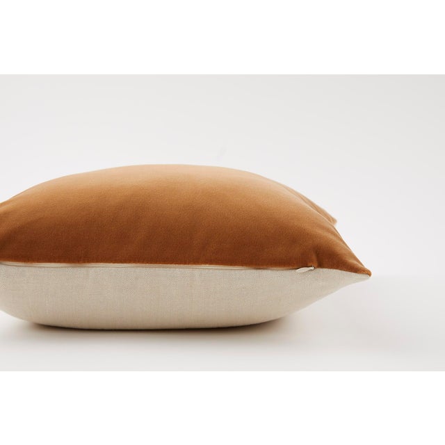 Contemporary Cotton Velvet Pillow - Amber For Sale - Image 3 of 4