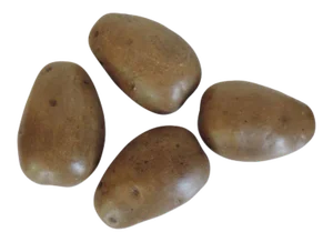 Hand Painted Trompe L' Oeil Porcelain Potatoes - Set of 4