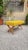 Tan Bench with Light-Colored Crossed Wooden Legs and Yellow Fabric Seat, 1940s For Sale - Image 8 of 10
