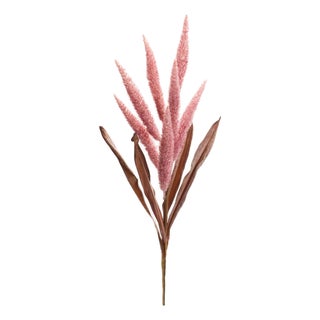 Foxtail Plume Stem (Set of 2) For Sale