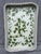 Sweet vintage white faux wicker rimmed, green ivy vine printed malmine serving tray. Made in W Germany. Tray measures 19...