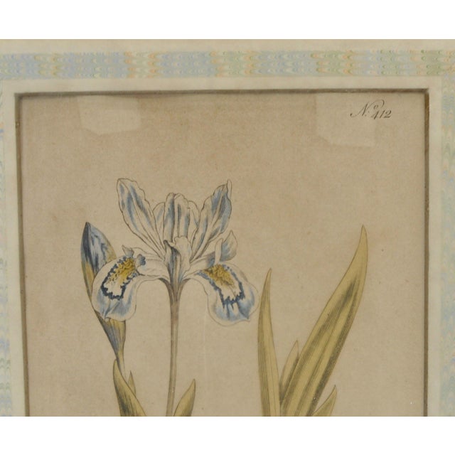Sculpture Materials Late 18th Century William Curtis Botanical Engravings, 1798, Pair in Custom Gilt Frames For Sale - Image 7 of 9