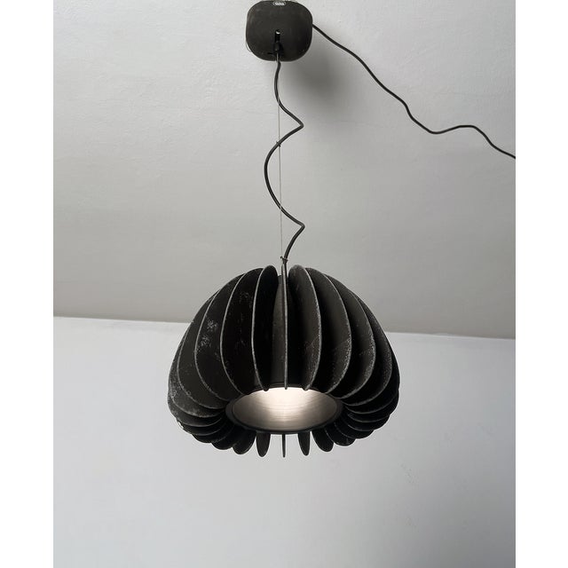 Mid-Century Modern Mariposa Hanging Light by Gigi and Pepe Tanzi for Dalca, 1970 For Sale - Image 3 of 8