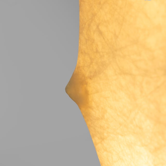 Metal Fantasma Lamp by Tobia Scarpa for Flos, 1961 For Sale - Image 7 of 15