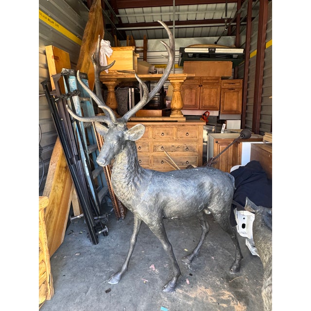 Metal Late 20th Century Life Size Bronze Cast Buck and Doe Deer Statues, 2 Pieces For Sale - Image 7 of 12