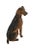 Traditional Austrian Bronze English Terrier Figurine For Sale - Image 3 of 9