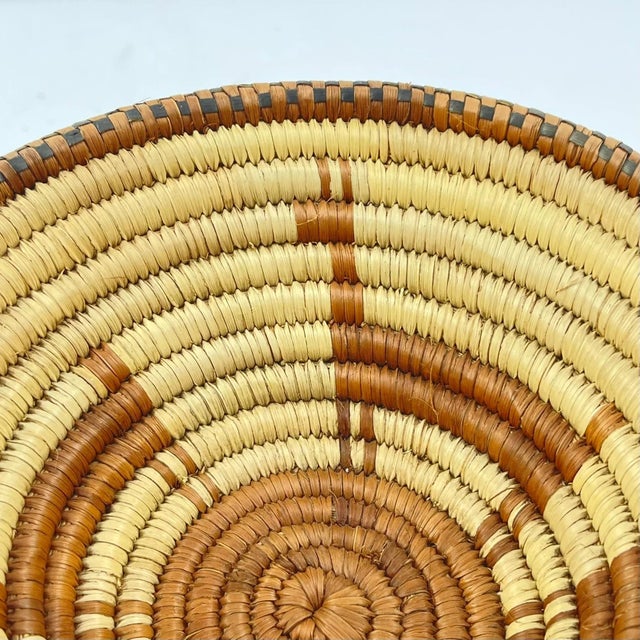 Tan Early 20th Century Botswana Basket Antelope Design 6inch MATTER COLLECTION For Sale - Image 8 of 8