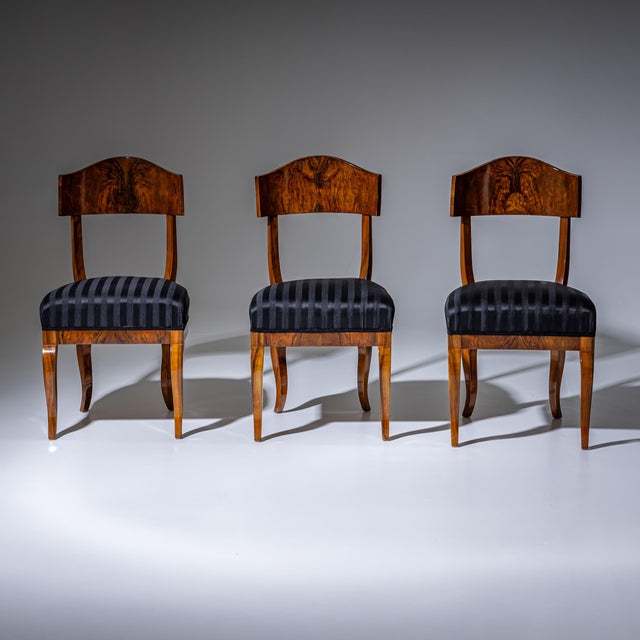 Biedermeier Shovel-Back Chairs in Walnut, 1830, Set of 5 For Sale - Image 3 of 12