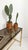 Italian Cachepot Basket in Hand-Woven Pencil Reed Rattan and Brass, 1970s For Sale - Image 4 of 18