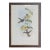 19th Century John Gould Bird Print - One of 24 For Sale