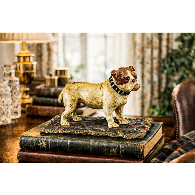 rns A wonderfully characterful antique cold-painted cast metal sculpture, this confident English bulldog makes an...
