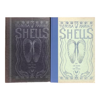 "Florida Marine Shells" 1945 Vilas, C.N. and N.R. For Sale