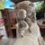 Pair of French Louis XVI Limestone Sphinx Garden Statues For Sale - Image 12 of 18