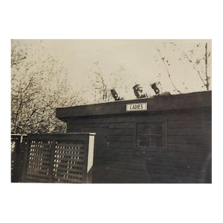 Early 20th Century Bad Boys Quirky Snapshot Photograph For Sale