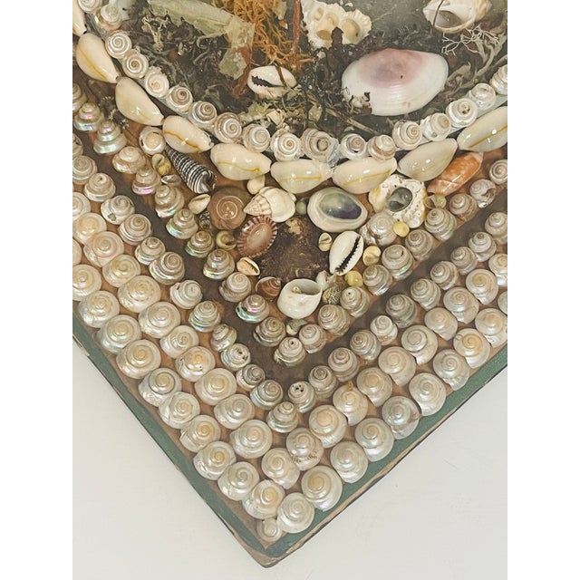 American Antique Sea Shell Sailors Valentines American Folk Art For Sale - Image 3 of 6