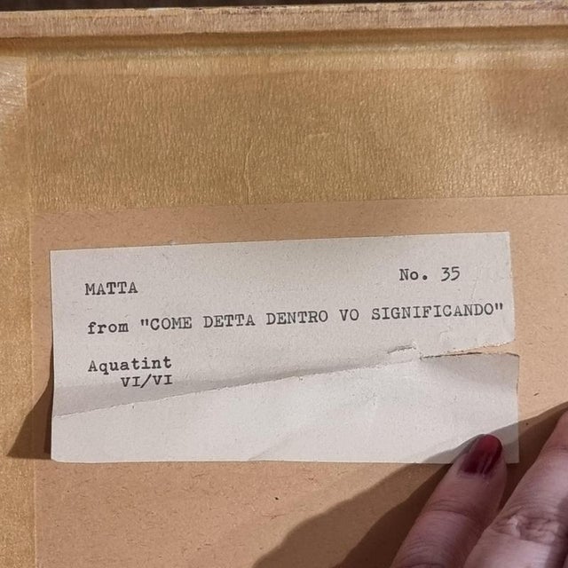 Modern Roberto Matta, Come detta dentro vo significado, Aquatint, 1970s For Sale - Image 3 of 7